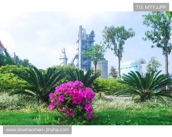 金沙电子如何通过技术创新提升产品竞争力，赢得市场份额不断扩大