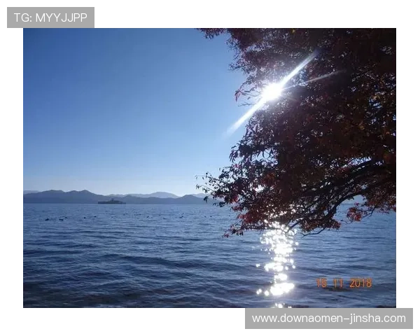 金沙登录不上去了如何确保账号安全与登录顺畅