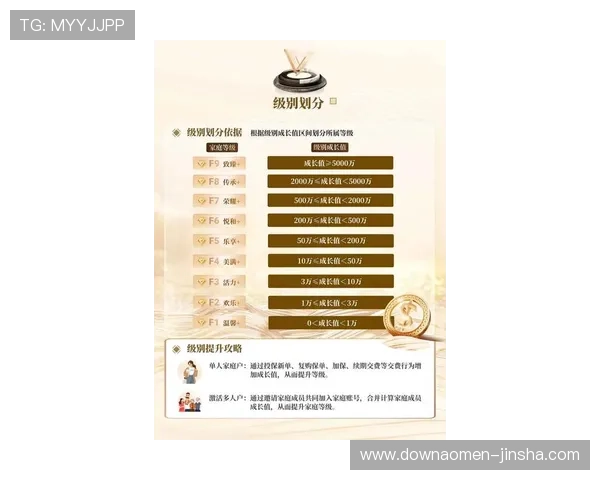 新澳门VIP系统详解，助你轻松掌握VIP权益提升攻略与最新优惠活动