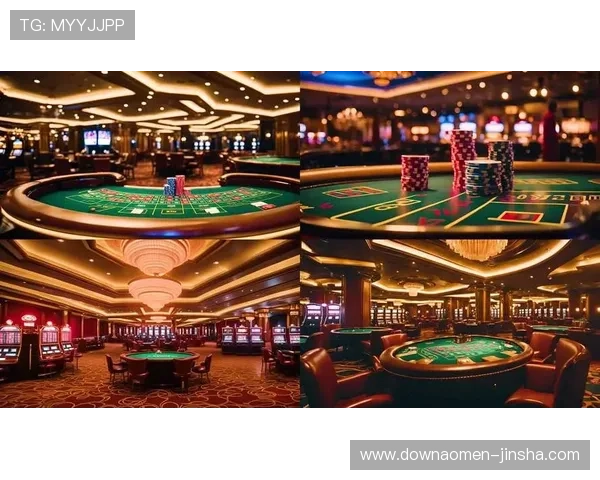 澳门十大博彩排行榜最新排名公布，详细介绍各大博彩场所的特色与用户评价