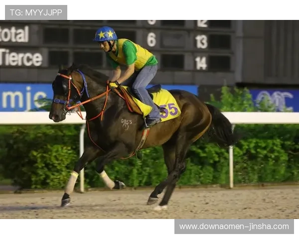 澳门赛马官网直播服务详解如何在线观看赛马赛事实现实时互动体验